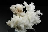 Sparkling Cave Calcite (Aragonite) Formation - Potosi Mine, Mexico #259385-1